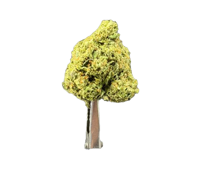 AAA - Cherry Pie Runtz