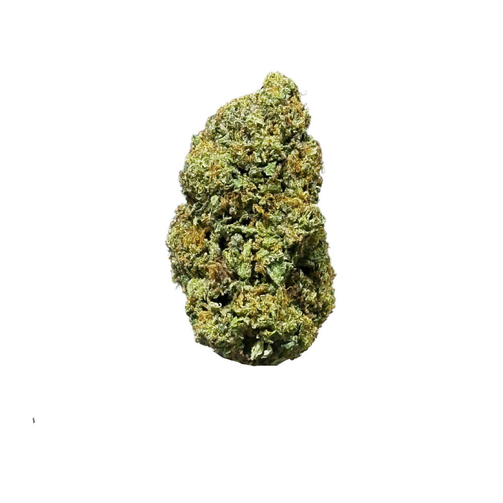 A - Gelato41