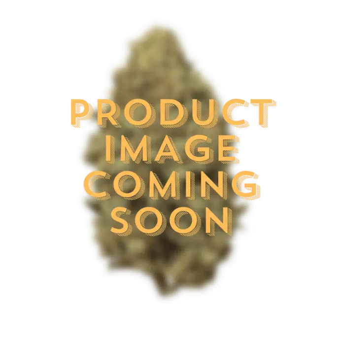 CBD Pros | THCa Hemp Pre Rolls | Hash Hole | 2 Gram  