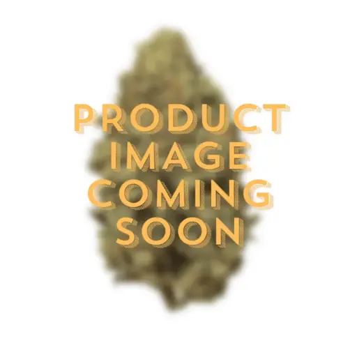 CBD Pros | THCa Hemp Pre Rolls | Hash Hole | 2 Gram  